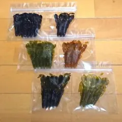 【レア】テンプトプロ クラスタ 4インチ 6カラー セット！No.4