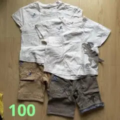 Tシャツ　半ズボン　100