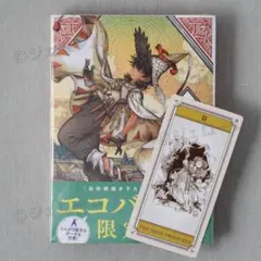 とんがり帽子のアトリエ 5巻 限定版 カードゲーム フデムシカード付き