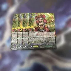 ヴァンガード ラナンキュラスの花乙女 アーシャ 初期 ホイル ホロ キラ