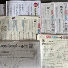 Safari ※プロフ必読様専用のサムネイル
