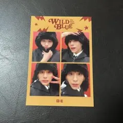 ファンクラブ入会特典 山下幸輝 WILDBLUEのサムネイル