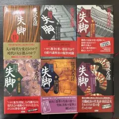丸山健二 作品集 5冊セット 千日の瑠璃 虹よ 銀の兜の夜 - メルカリ