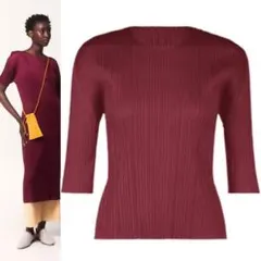 PLEATS PLEASE NEW COLORFUL BASICS4 トップス - メルカリ
