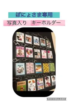 ぽにょさま専用　写真 名前入りキーホルダー　オーダー
