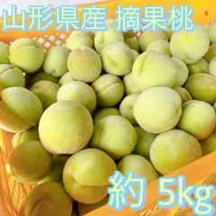 山形県産 摘果桃 若桃 もも 加工用 資材込 約5kg 常温発送 ⑧ - メルカリ