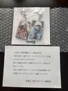 呪術廻戦≡』虎杖＆真人2連アクリルキーホルダー2種セット（当選品