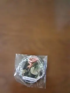(まとめ買い可)ウマ娘 プリティーダービー 缶バッジ ドリームジャーニー