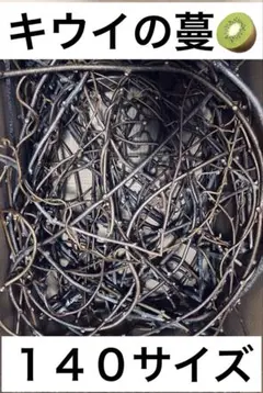 2026年最新】蔓のリースの人気アイテム - メルカリ