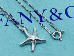 ル*ト様 Tiffany & Co.ティファニースターフィッシュ星ブローチ 92 楽天市場】【ギフト品質】ティファニー Tiffany&Co ピアス