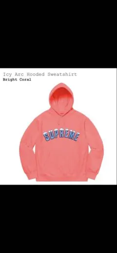 Supreme Icy Arc Hooded Sweatshirt