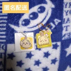 usagi　うさぎ　ウサギ　キーホルダーセット
