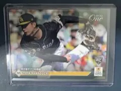 ばっちょ様 リクエスト 2点 まとめ商品