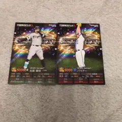 【お茶漬け様専用】カルビー　プロ野球チップス　プロ野球スピッツ　プロスピ【2枚】