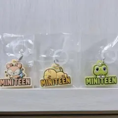 SEVENTEEN MINITEEN ミニティーン めじるしアクセサリー
