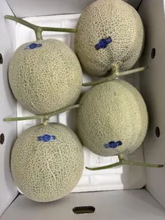たかあっこ18訳あり　富良野産赤肉メロン　8kg箱　（4玉〜6玉）入り たかあっこ様専用18訳あり 富良野産赤肉メロン 8kg箱 （4玉〜6玉）入り