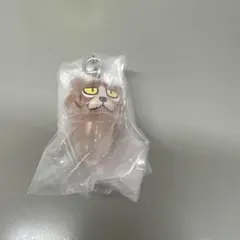 さわり探偵なめこ栽培キット めじるしアクセサリー2 ねこなめこ