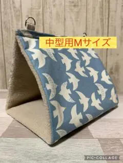 Item thumbnail for item 958d819d-d2df-4fcf-b0bf-59f6ad3aeaa9