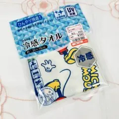 Item thumbnail for item 18fa5d47-c63f-481f-a020-5fd0d9d0eceb