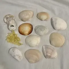 Item thumbnail for item da84526b-24b0-405d-9dad-b98b9f7a3f9a