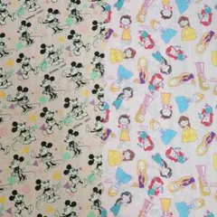 生地、ハギレ(DAISOディズニー柄)