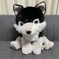 もふっとオオカミ ミステリアス ウルトラBIGぬいぐるみ ルガー