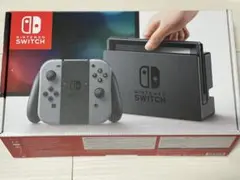 Nintendo Switch 本体 グレー ジャンク品 - メルカリ