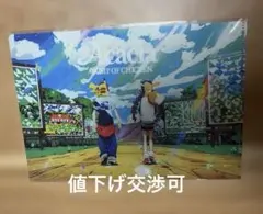【値下げOK】アカシア　ポケモンコラボ　クリアファイルのサムネイル