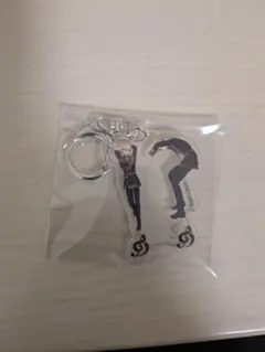 シクフォニ ランダムアクリルキーホルダー 人文字ver みこと