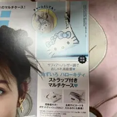 キティちゃん マルチケース