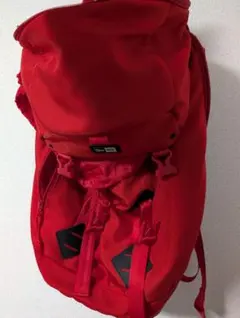 【がんも様専用】newera レッドバックパック リュック