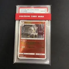 2026年最新】ウインディ psa10の人気アイテム - メルカリ