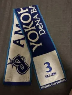 Item thumbnail for item 8dad7e7f-69f5-4a08-a456-39d2ed436dc9