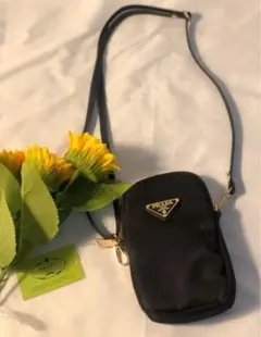 Item thumbnail for item 56bbd165-6197-4610-b8e7-4597501215fc