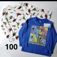 子供服　長袖カットソー　ロンＴ　恐竜　ダイナソー　100　2枚セット　綿100%