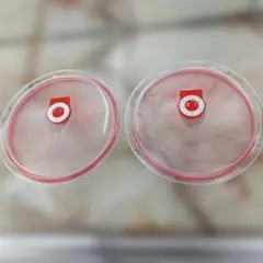 Item thumbnail for item 3894c38d-0e87-4114-a341-2369ef7eb085