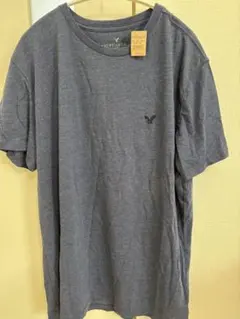 新品タグ付きAMERICAN EAGLE OUTFITTERS Tシャツ