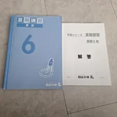 四谷大塚テキスト 夏季講習 數學 6年 解答組