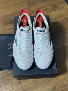 2025年最新】モレリアネオ4 24.5の人気アイテム - メルカリ