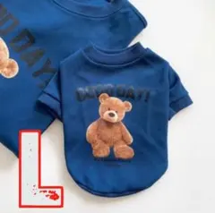 Item thumbnail for item 1ae4c12b-b8d0-467e-bb6c-d857a84feea5