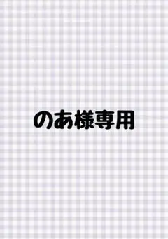 【のあ様専用】たぬき着ぐるみ