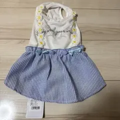 Item thumbnail for item 11e21978-6c5b-41d7-8b86-2bdac67be825