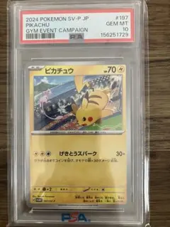 ⚫︎【PSA8】ポケモンカード トウホクのピカチュウ 260/SV-P プロモ