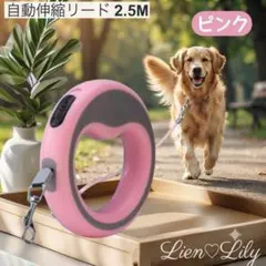 【ピンク 2.5M】犬用　自動巻き取り式伸縮リード　ABS素材で丈夫のサムネイル
