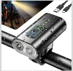 Item thumbnail for item bca506fd-2ec2-4743-b911-12da9c296e17