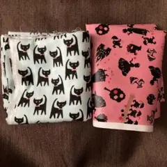 Item thumbnail for item 1268dc44-d8ab-41e9-9971-bee43c908fdf