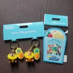 ディズニーリゾート チップとデール キーチェーン ワッペン