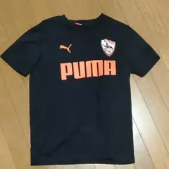 Item thumbnail for item 3230ea48-9114-46e5-93ba-417a24f1ad31