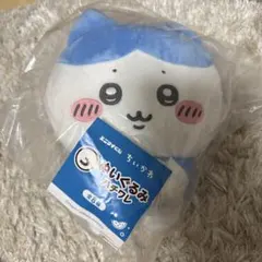 エニマイくじ　ハチワレ