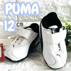 ファーストシューズ12.5